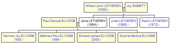 Mini tree diagram