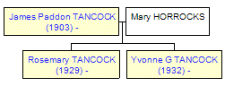 Mini tree diagram