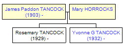 Mini tree diagram