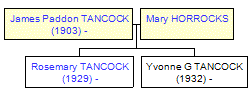 Mini tree diagram