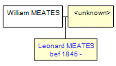 Mini tree diagram