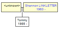 Mini tree diagram