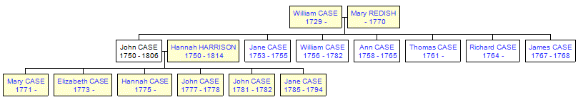 Mini tree diagram