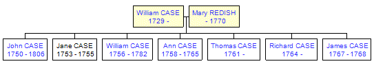 Mini tree diagram