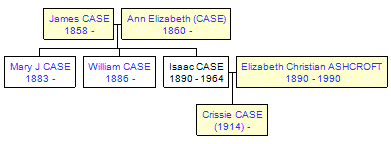 Mini tree diagram