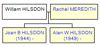 Mini tree diagram