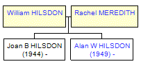 Mini tree diagram