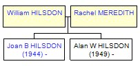 Mini tree diagram