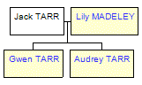 Mini tree diagram