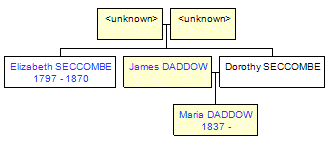 Mini tree diagram