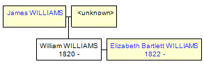 Mini tree diagram