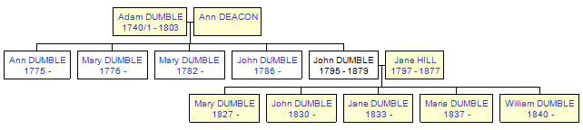 Mini tree diagram